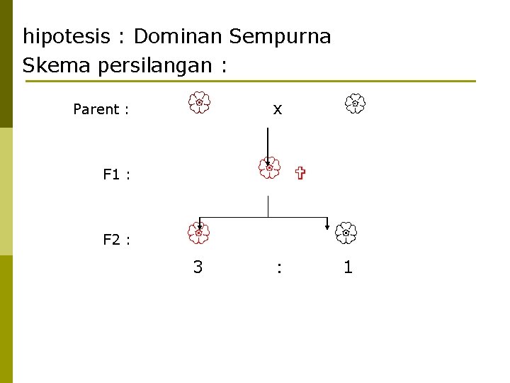 hipotesis : Dominan Sempurna Skema persilangan : Parent : F 1 : F 2