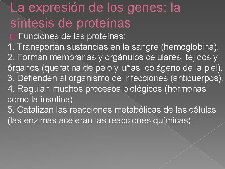 La expresión de los genes: la síntesis de proteínas Funciones de las proteínas: 1.