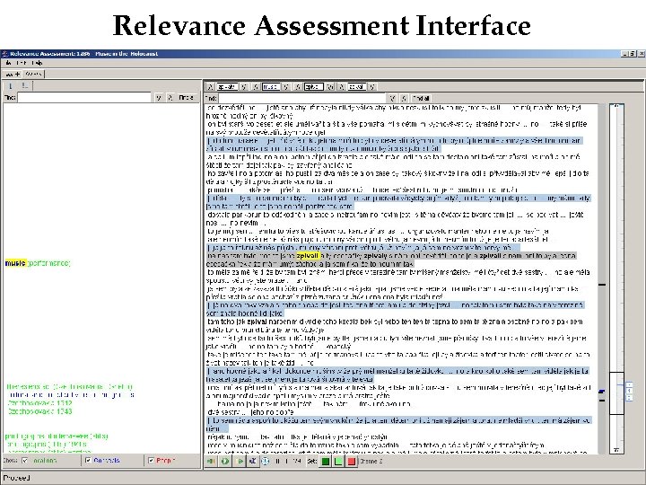Relevance Assessment Interface 