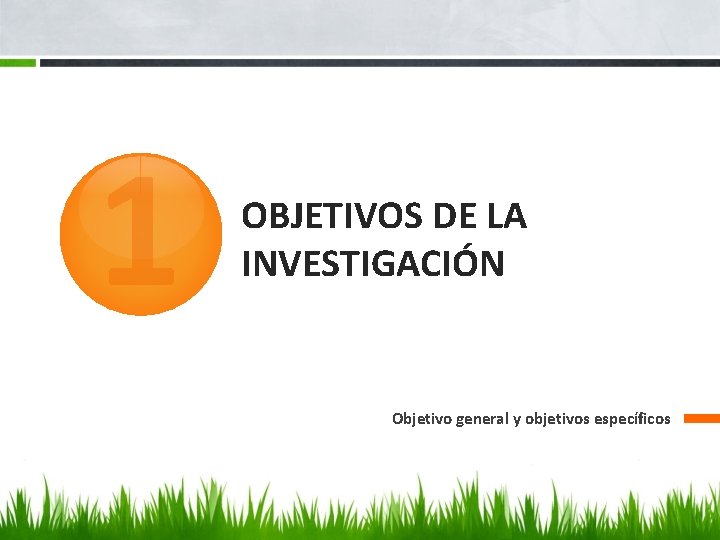 1 OBJETIVOS DE LA INVESTIGACIÓN Objetivo general y objetivos específicos 