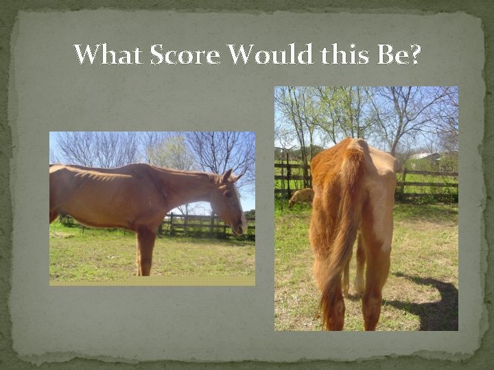 What Score Would this Be? 