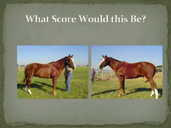 What Score Would this Be? 