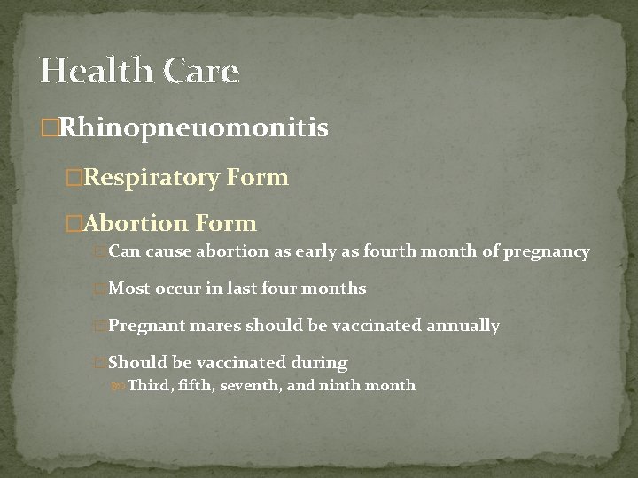 Health Care �Rhinopneuomonitis �Respiratory Form �Abortion Form �Can cause abortion as early as fourth