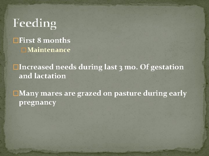 Feeding �First 8 months � Maintenance �Increased needs during last 3 mo. Of gestation