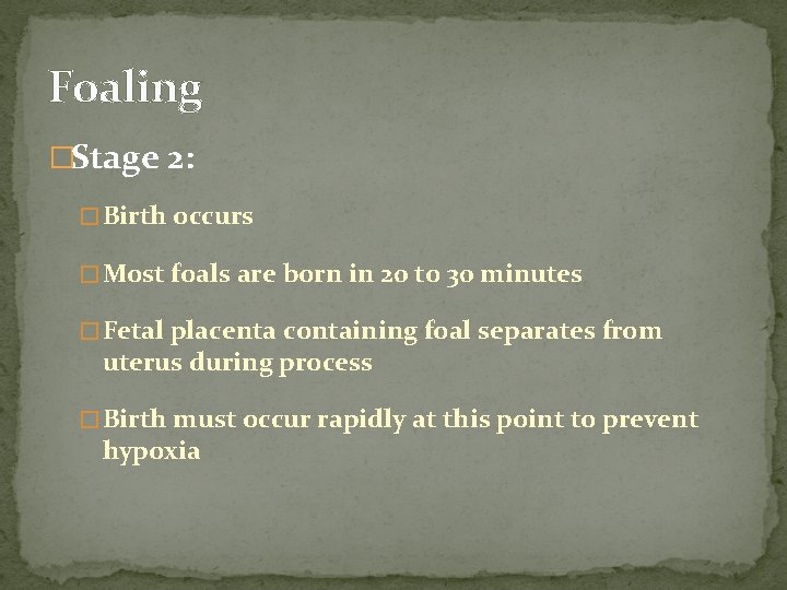 Foaling �Stage 2: � Birth occurs � Most foals are born in 20 to