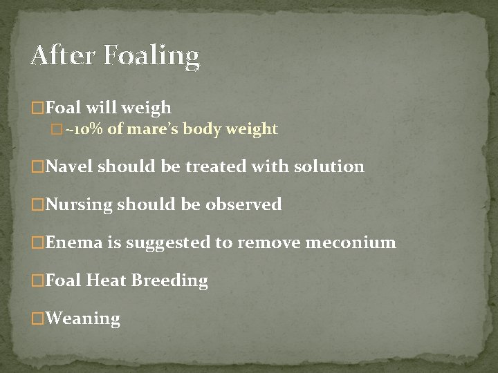After Foaling �Foal will weigh � ~10% of mare’s body weight �Navel should be