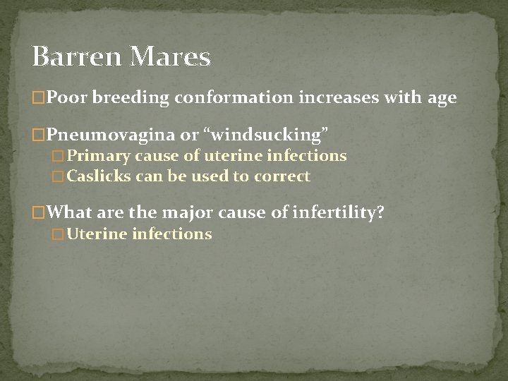Barren Mares �Poor breeding conformation increases with age �Pneumovagina or “windsucking” � Primary cause