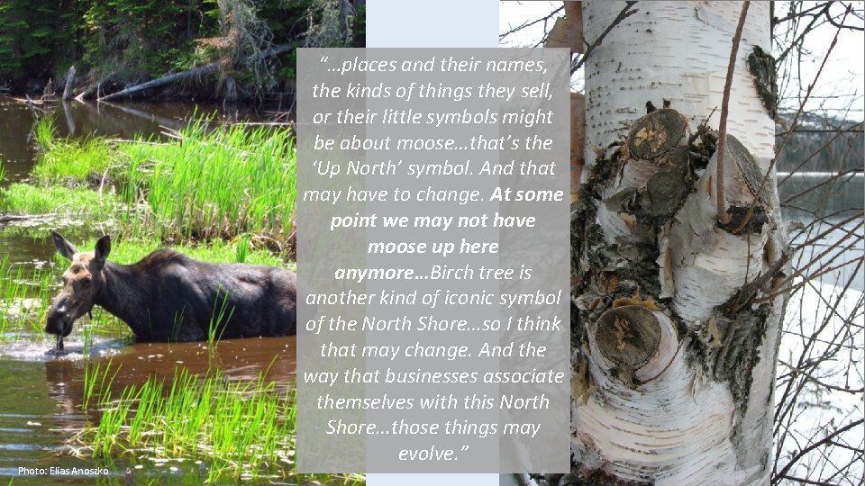 Photo: Elias Anoszko “…places and their names, the kinds of things they sell, or