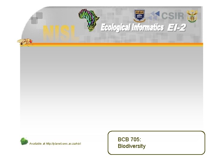 Available at http: //planet. uwc. ac. za/nisl BCB 705: Biodiversity 