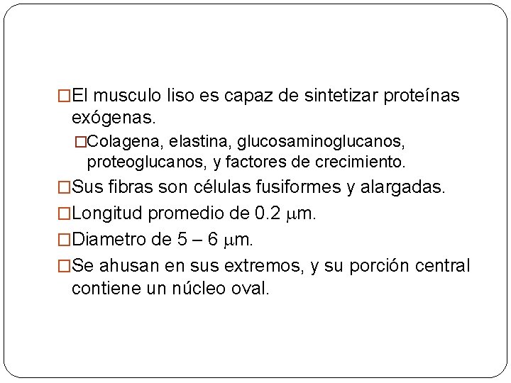 �El musculo liso es capaz de sintetizar proteínas exógenas. �Colagena, elastina, glucosaminoglucanos, proteoglucanos, y