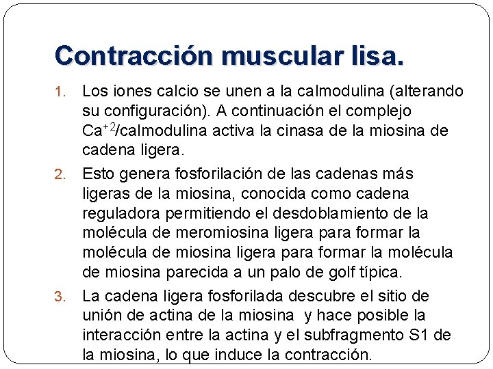 Contracción muscular lisa. Los iones calcio se unen a la calmodulina (alterando su configuración).