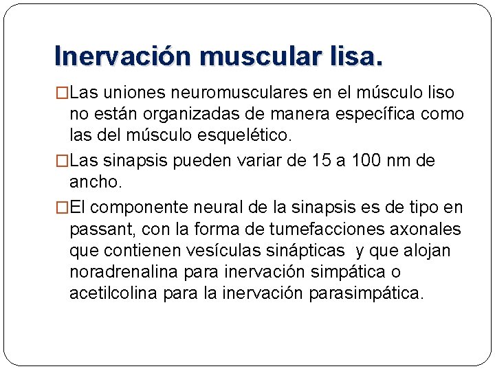 Inervación muscular lisa. �Las uniones neuromusculares en el músculo liso no están organizadas de