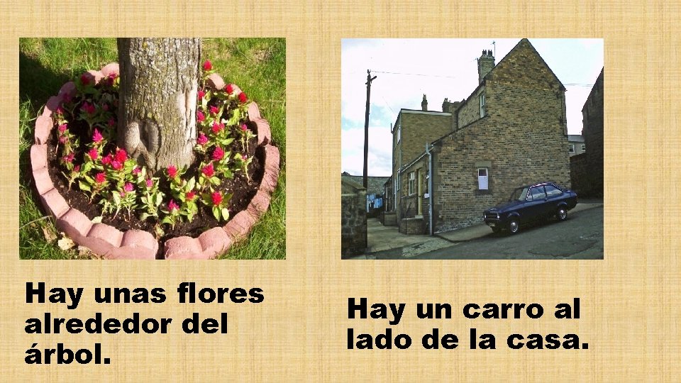 Hay unas flores alrededor del árbol. Hay un carro al lado de la casa.