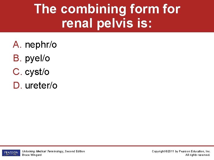 The combining form for renal pelvis is: A. nephr/o B. pyel/o C. cyst/o D.