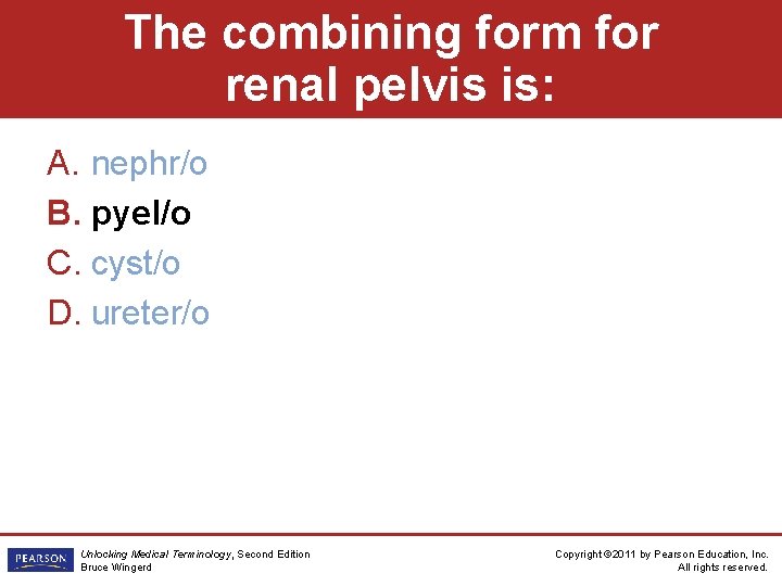 The combining form for renal pelvis is: A. nephr/o B. pyel/o C. cyst/o D.