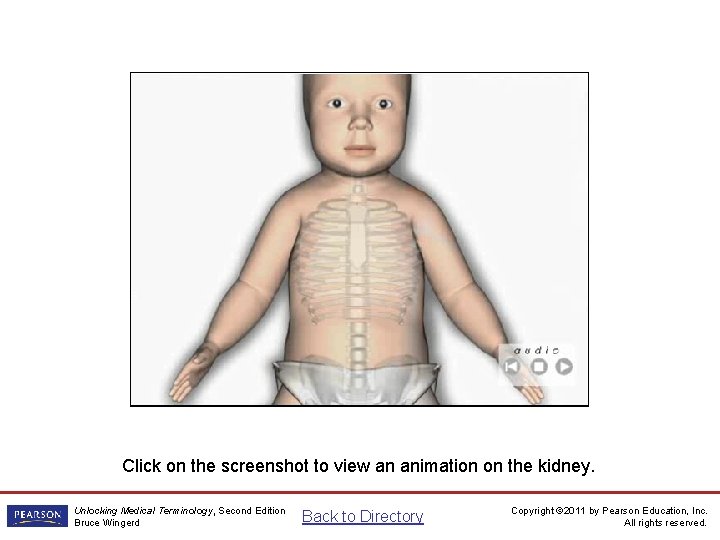 Kidney Animation Click on the screenshot to view an animation on the kidney. Unlocking