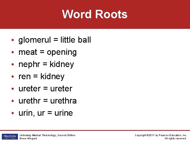 Word Roots • • glomerul = little ball meat = opening nephr = kidney