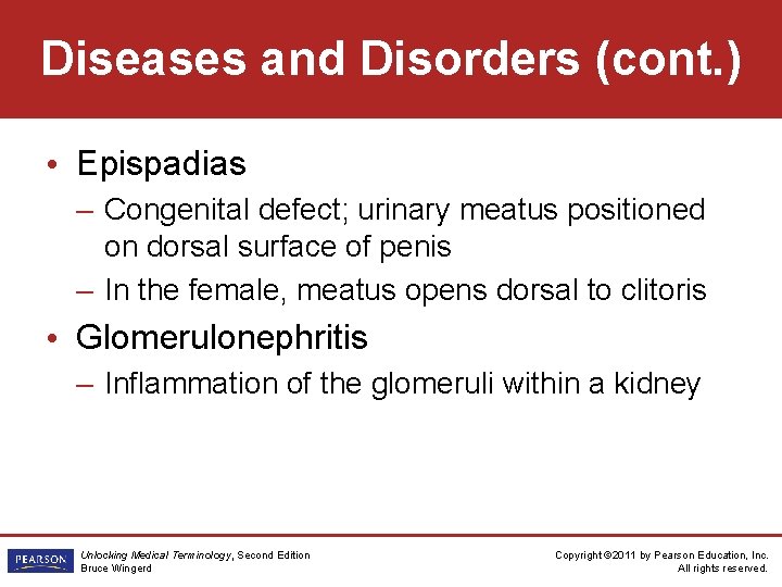 Diseases and Disorders (cont. ) • Epispadias – Congenital defect; urinary meatus positioned on