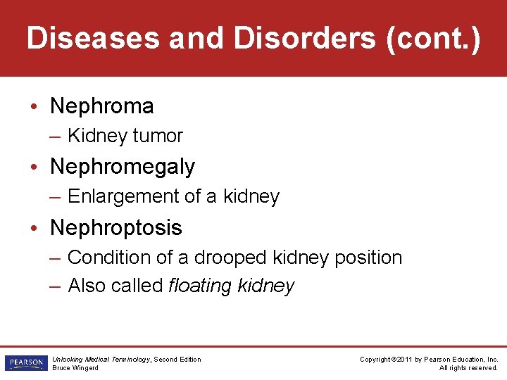 Diseases and Disorders (cont. ) • Nephroma – Kidney tumor • Nephromegaly – Enlargement