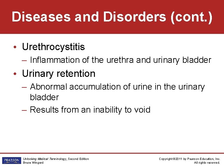 Diseases and Disorders (cont. ) • Urethrocystitis – Inflammation of the urethra and urinary
