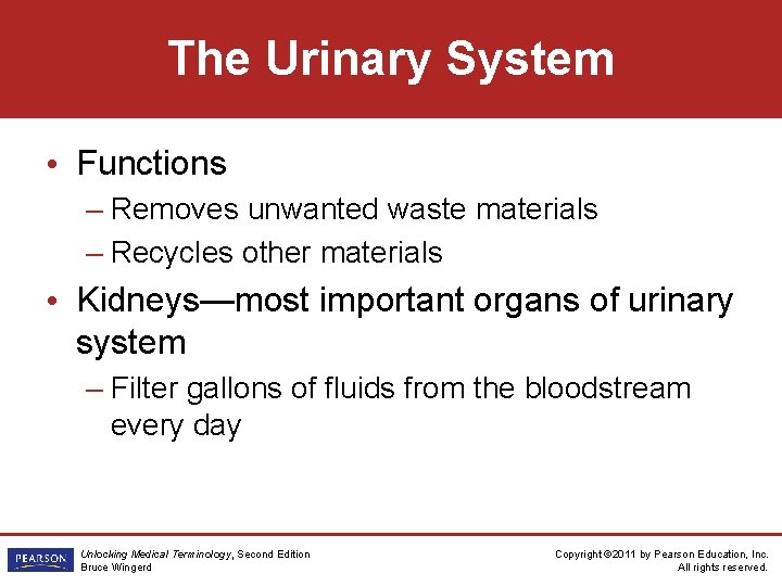 The Urinary System • Functions – Removes unwanted waste materials – Recycles other materials