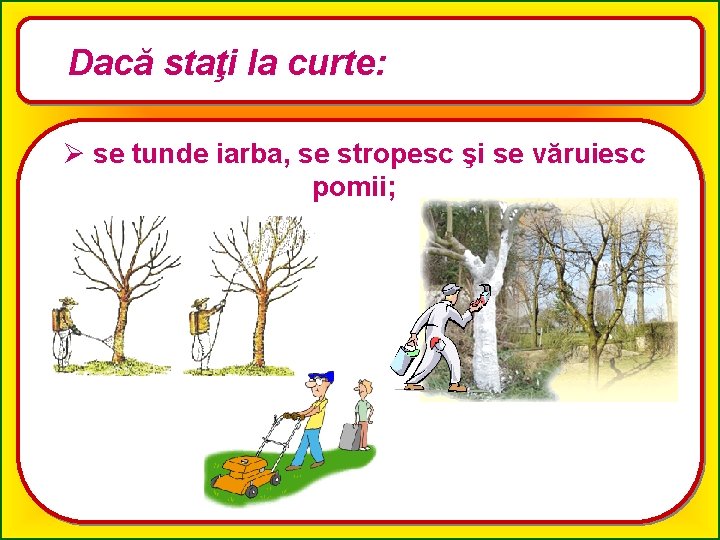 Dacă staţi la curte: Ø se tunde iarba, se stropesc şi se văruiesc pomii;