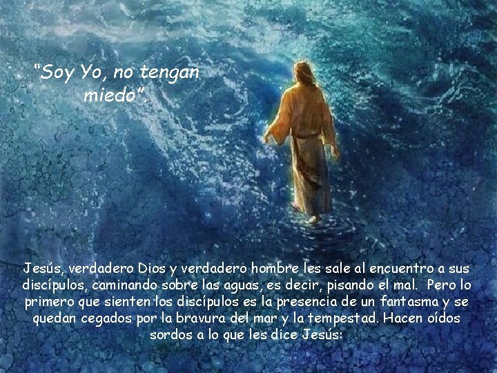 “Soy Yo, no tengan miedo”. Jesús, verdadero Dios y verdadero hombre les sale al