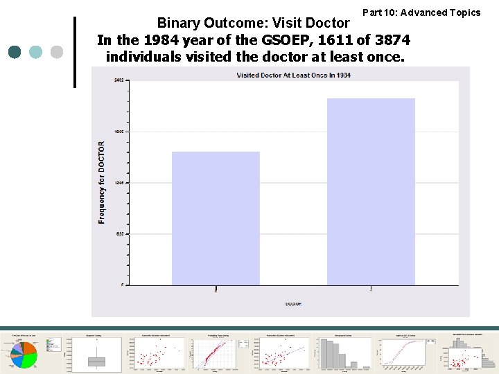 Part 10: Advanced Topics Binary Outcome: Visit Doctor In the 1984 year of the