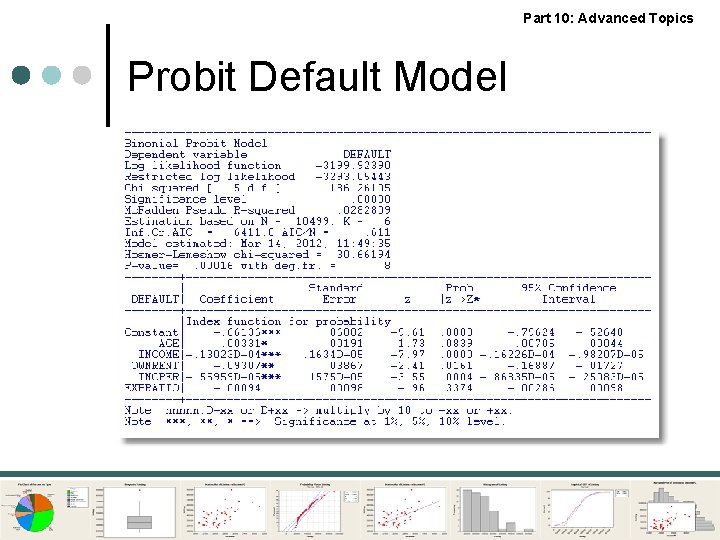 Part 10: Advanced Topics Probit Default Model 