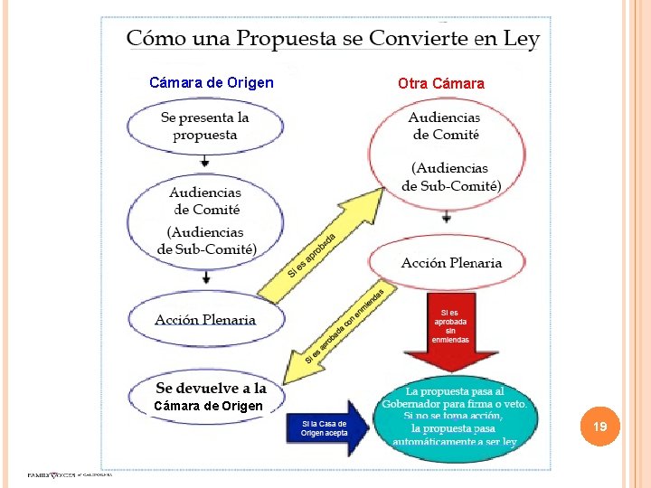 Cámara de Origen Otra Cámara de Origen 19 