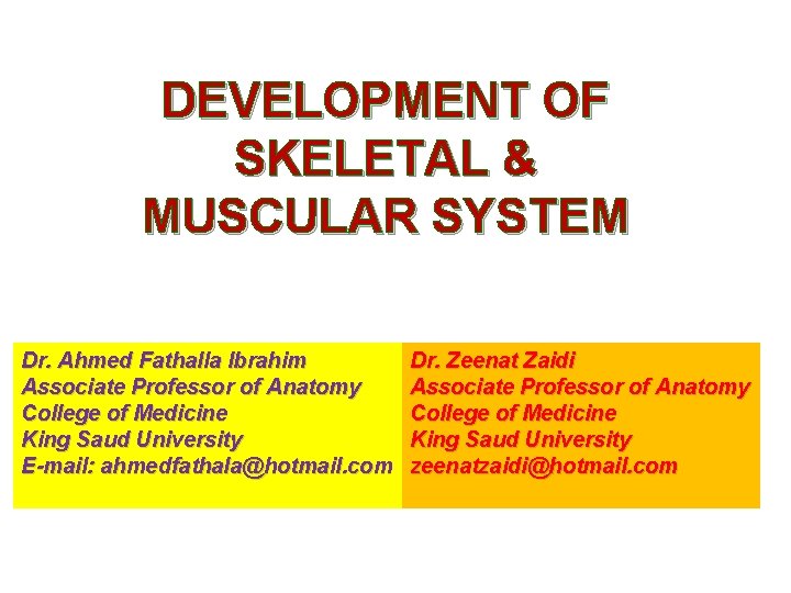 DEVELOPMENT OF SKELETAL & MUSCULAR SYSTEM Dr. Ahmed Fathalla Ibrahim Associate Professor of Anatomy