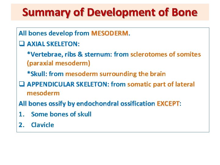 Summary of Development of Bone All bones develop from MESODERM q AXIAL SKELETON: *Vertebrae,