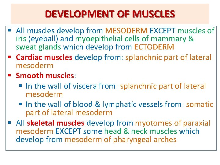 DEVELOPMENT OF MUSCLES § All muscles develop from MESODERM EXCEPT muscles of iris (eyeball)