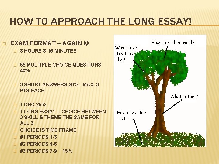 HOW TO APPROACH THE LONG ESSAY! � EXAM FORMAT – AGAIN � 3 HOURS