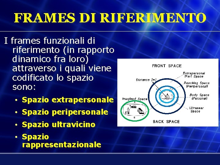 FRAMES DI RIFERIMENTO I frames funzionali di riferimento (in rapporto dinamico fra loro) attraverso