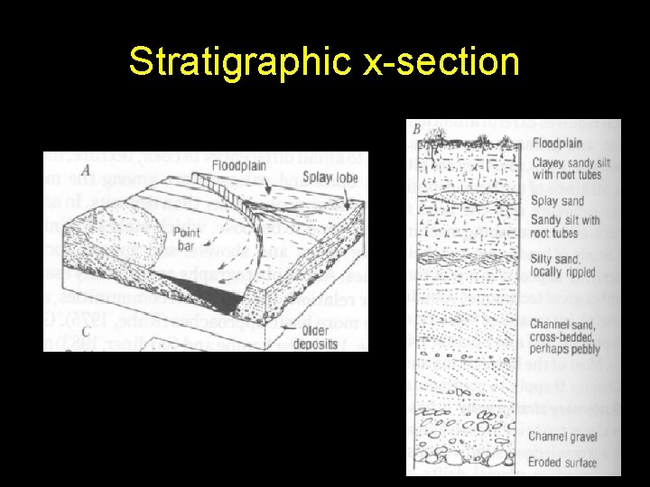 Stratigraphic x-section 