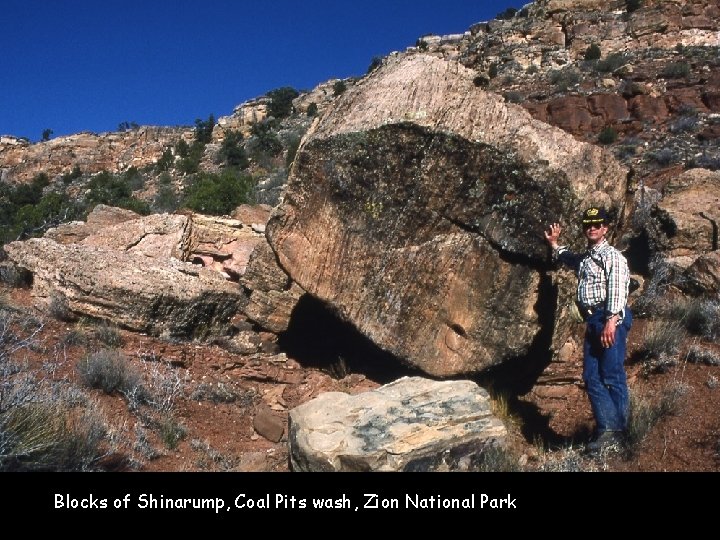 Blocks of Shinarump, Coal Pits wash, Zion National Park 