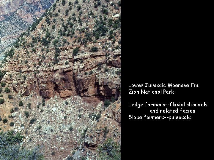 Lower Jurassic Moenave Fm. Zion National Park Ledge formers--fluvial channels and related facies Slope