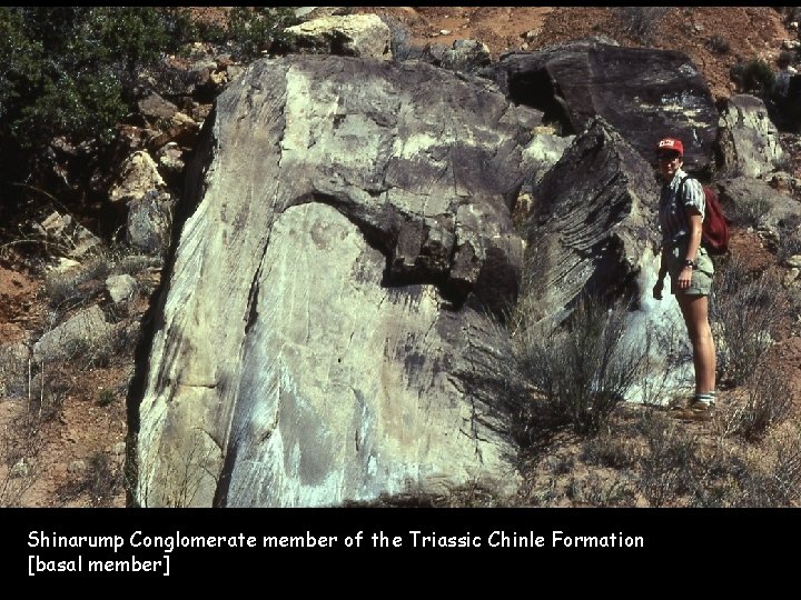 Shinarump Conglomerate member of the Triassic Chinle Formation [basal member] 
