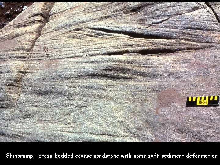 Shinarump – cross-bedded coarse sandstone with some soft-sediment deformation 