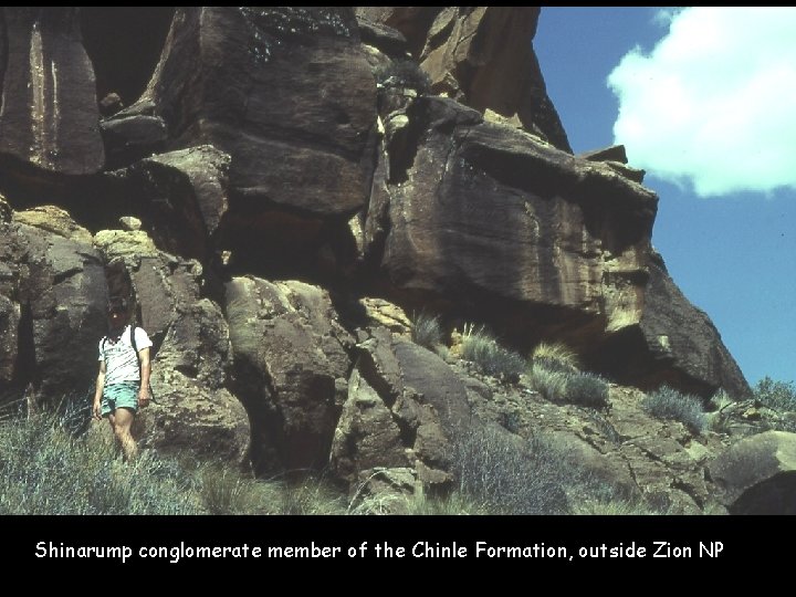 Shinarump conglomerate member of the Chinle Formation, outside Zion NP 