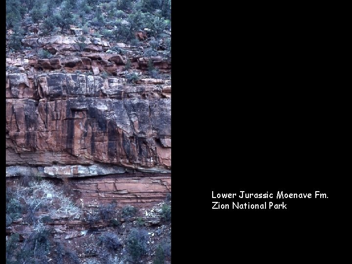 Lower Jurassic Moenave Fm. Zion National Park 