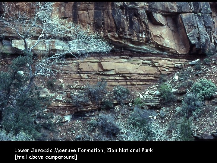 Lower Jurassic Moenave Formation, Zion National Park [trail above campground] 