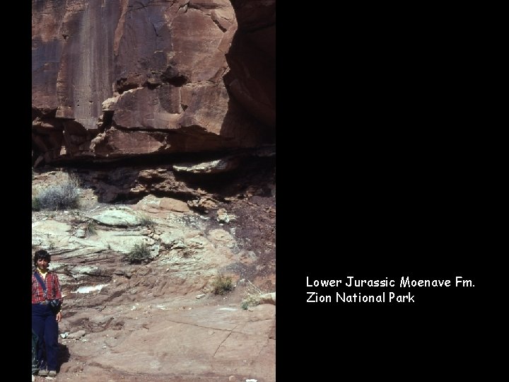 Lower Jurassic Moenave Fm. Zion National Park 