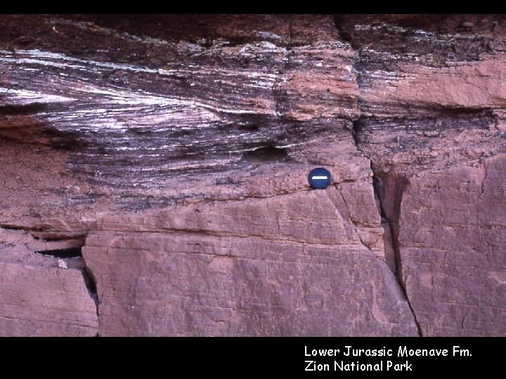 Lower Jurassic Moenave Fm. Zion National Park 