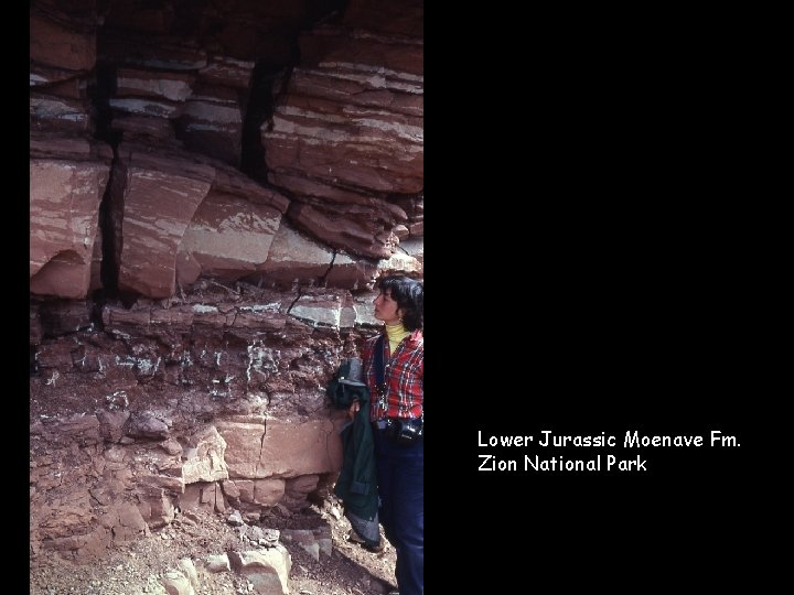 Lower Jurassic Moenave Fm. Zion National Park 