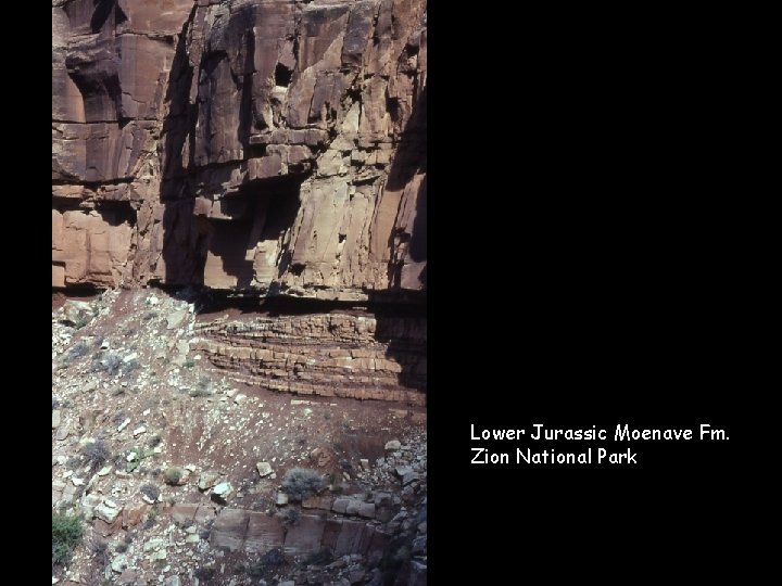 Lower Jurassic Moenave Fm. Zion National Park 