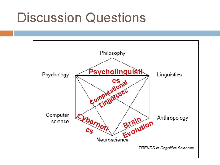 Discussion Questions Psycholinguisti cs al on i t ta tics u p is m