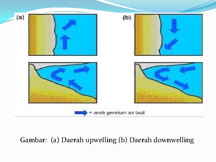 Gambar: (a) Daerah upwelling (b) Daerah downwelling 