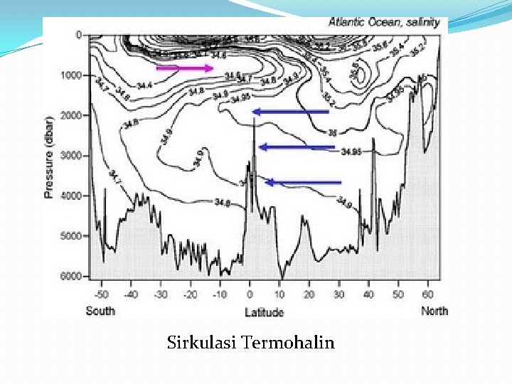 Sirkulasi Termohalin 